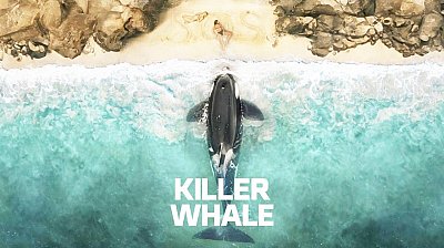 Killer Whale 2026